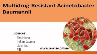 Multidrug  Resistant Acinetobacter Baumannii [upl. by Rosenthal]