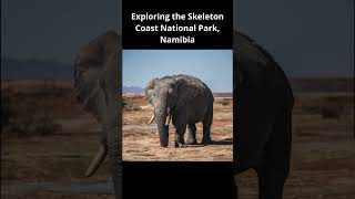 The Skeleton Coast National Park Namibia’s Enigmatic Wilderness [upl. by Arodoet8]