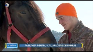 Astai Romania 19022023  Au transformat pasiunea pentru caii de rasa intro afacere de familie [upl. by Ysied]