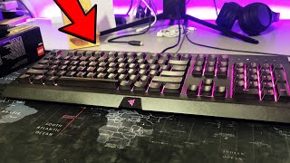 Razer Cynosa Chroma Gaming Keyboard REVIEW [upl. by Acima303]