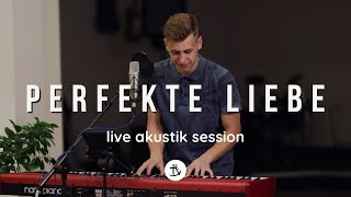 Perfekte Liebe  Live [upl. by Itoyj101]