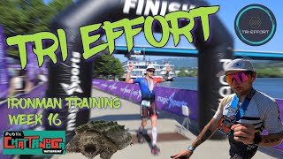 IRONMAN Training Vlog  Chattanooga Waterfront Triathlon  TRI EFFORT Week 16 [upl. by Yalonda134]