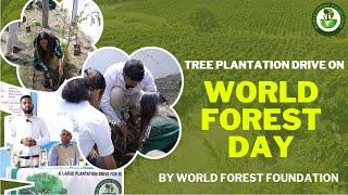 TREE PLANTATION DRIVE amp WORLD FORESTRY DAY 2024  WORLD FOREST FOUNDATION [upl. by Suolekcin]