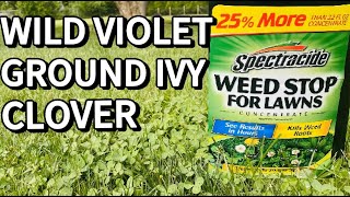 Spectracide Weed Stop for Lawns  Weed Killer Ground Ivy Wild Violet Clover [upl. by Einhoj]