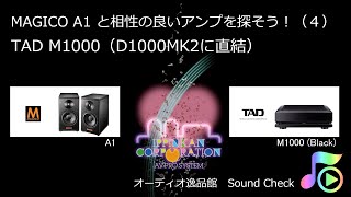 2020年4月 Magico A1 と相性の良いアンプを探そう（４）（TAD M1000） [upl. by Hagen]