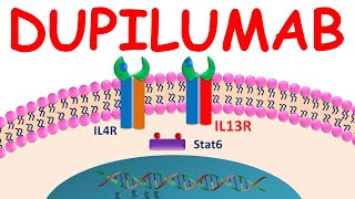 Dupilumab Dupixent injection for atopic dermatitis and asthma [upl. by Thurmann]