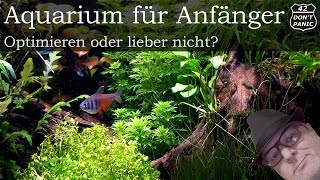 Aquarium für Anfänger und Einsteiger optimieren oder lieber nicht [upl. by Bottali]