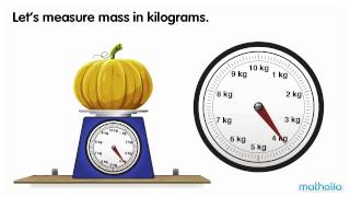 Using a Scale  Kilograms [upl. by Cence]