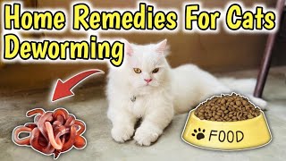 How to Deworm a cat with Home Remedies  Home Remedies for Deworming Cats  Cat Worms Treatment [upl. by Maples]