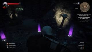 The Witcher 3 Wild Hunt  Part 177  Legendary Superior Wolven Silver Sword Location [upl. by Aspia592]