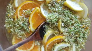 Elderflower Cordial Recipe and how to dry and freeze elderflowers [upl. by Mari]