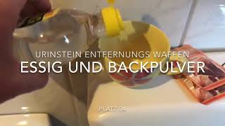 Urinstein entfernen Top 10 Urinstein Entfernungs Ranking die Besten Waffen gegen Ablagerungen [upl. by Llerot]