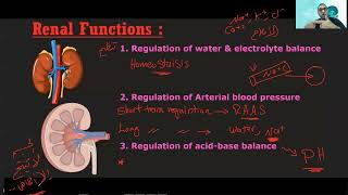 Renal Physiology  1 د الشريف [upl. by Eardna]