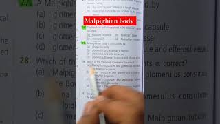 NEET ✅️✅️ malpighian body is constitued by youtubeshort neet biologybook [upl. by Eastman479]