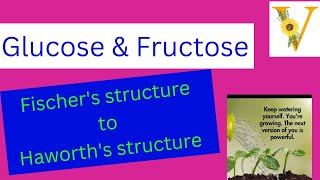 glucose  fructose  convertion of fischers structure to haworth structure [upl. by Chivers]