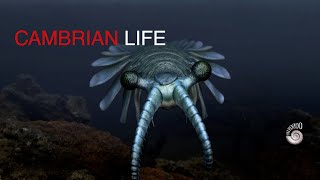 Cambrian Life the Explosion [upl. by Rex231]