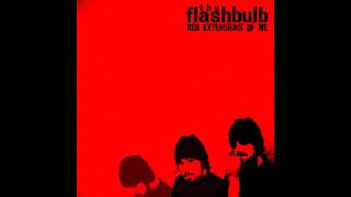 The Flashbulb  Didj Z [upl. by Phelps175]