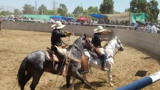 Curimeo Michoacan Los Grandes de Curimeo [upl. by Ireva517]