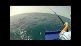 Weipa Sailfishing Action with Ben Bright  aboutfishingnqcom [upl. by Mikihisa825]