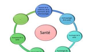 Introduction aux sciences humaines et sociales [upl. by Ariaet]