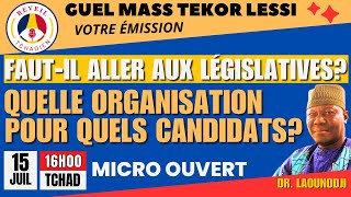 FAUTIL ALLER AUX ELECTIONS LEGISLATIVES QUELLE ORGANISATION POUR QUELS CANDIDATS [upl. by Nirihs158]