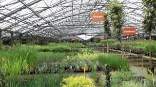 Tuincentrum Het Oosten is groot in tuinplanten [upl. by Gaspard]