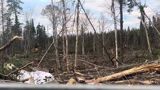 2011 Tigercat 870CNorthern Ontario logging [upl. by Saibot]