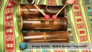 Bongo Bambú  Bamboo Percussion  Percusión  Teponaztli Nektar [upl. by Adaynek917]