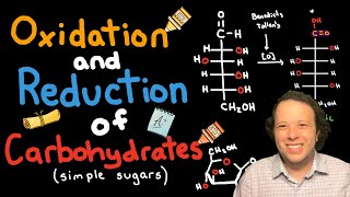 Oxidation and Reduction of Carbohydrates  Nomenclature Explained [upl. by Llenram]