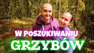 W POSZUKIWANIU GRZYBÓW MAGICZNY LAS LIPEC 2024 [upl. by Freddy]