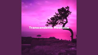 Transcendente Meditatie [upl. by Anej]