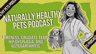 Lameness Cruciate Tears Hip Dysplasia amp Osteoarthritis  NHP Podcast Ep 33  Drs Judy amp Steve [upl. by Anilorac860]