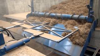 Arundo donax Moving Floor Video [upl. by Yrral505]