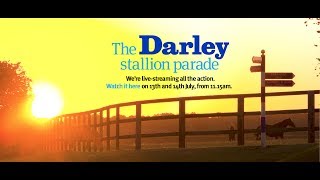 Darley Stallion Parade 2017 trailer [upl. by Athena488]