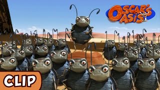 Oscars Oasis  Battle of the Beetles  HQ  Funny Cartoons [upl. by Olwen]