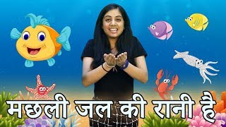 Machhli Jal Ki Rani Hai  Action Songs amp Rhymes in Hindi  मछली जल की रानी है  हिंदी एक्शन गाने [upl. by Ahsai]