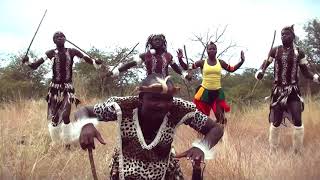 Obert Dube Vuka Mthwakazi Official Video [upl. by Negaem9]