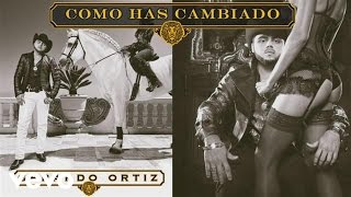 Gerardo Ortiz  Cómo Has Cambiado Audio [upl. by Novyert]