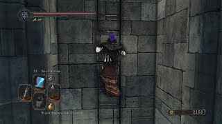 Dark Souls 2 SotFS  Drangleic Castle Activating Lift For Kings Passage Key [upl. by Etyam963]