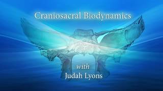 Lyons Institute  Craniosacral Biodynamics  Introduction [upl. by Limbert]