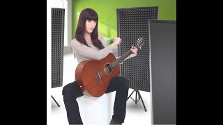 Pyle PSiP 24 Acoustic Isolation Wall Panel Review by Slick [upl. by Fen]