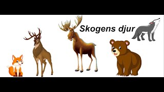 skogens djur [upl. by Assened680]