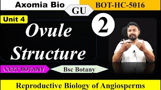 Ovule Structure Pistil CarpelFemale reproductive structure Bsc Botany 5th sem BotanyAxomia Bio [upl. by Nivlac526]