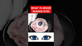 WHAT IS INSIDE HUMAN EYE AMAZING AYATUL KURSI RECITATION shorts [upl. by Haroppizt]