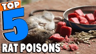 Top 5 Best Rat Poisons Review In 2024 [upl. by Epp]