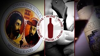 Vinitaly 2014  Moscato di Scanzo Full Video [upl. by Nerro]