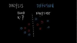 Dialysis Basics [upl. by Aivlys8]