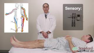 Approach to Low Back Pain Physical Exam  Stanford Medicine 25 [upl. by Othella]