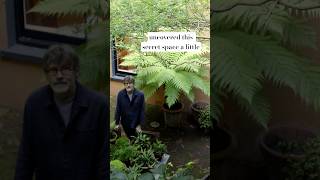 Nigel Slater’s hidden courtyard garden filled with ferns and green plants garden [upl. by Giarla]