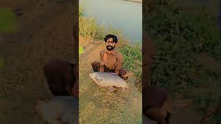 chenab river automobile fishing 🎣 got a five kg murakh [upl. by Barcot]